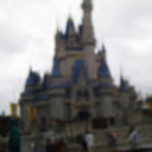 Meet your Posher, Chase